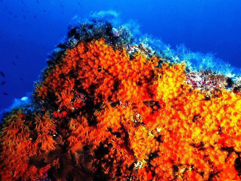 Villa Residenza Bea Flumini di Quartu Zimmer foto